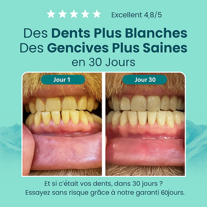 Gummea – La gomme qui soigne votre sourire